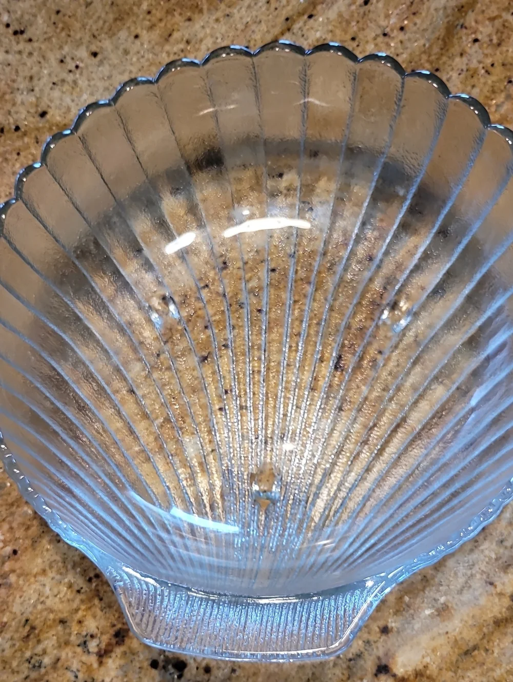 VTG Anchor Hooking Clear Glass Clam Shell Deep Round 11